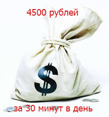 Новый видеокурс 4500 рублей за 30 минут в день